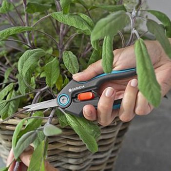 Ножницы садовые Gardena FreshCut (12212-20.000.00)
