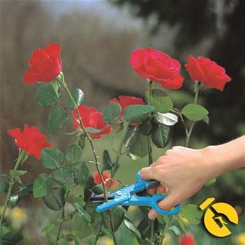Ножиці садові для троянд Gardena (00359-20.000.00)