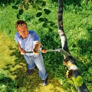 Грабли для комбисистемы что это. Смотреть фото Грабли для комбисистемы что это. Смотреть картинку Грабли для комбисистемы что это. Картинка про Грабли для комбисистемы что это. Фото Грабли для комбисистемы что это