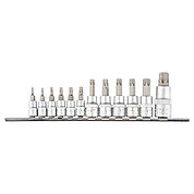 Набір головок біта Torx TOPEX Cr-V 1/4", 3/8", 1/2" 12 шт. (39D342)