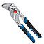 Клещи переставные Bosch Professional 250 мм с кнопочным фиксатором (1600A02W3R)