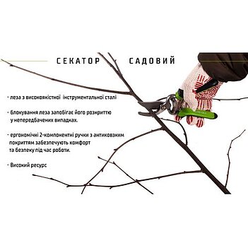 Секатор Alloid Cr-V (PS-21205)
