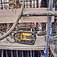 Вибратор для бетона аккумуляторный DeWalt POWERSHIFT (DCPS320N) - без аккумулятора и зарядного устройства Вибратор для бетона аккумуляторный DeWalt POWERSHIFT (DCPS320N) - без аккумулятора и зарядного устройства