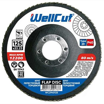 Круг пелюстковий шліфувальний WellCut 125мм х Р40 (WC2940125)