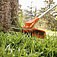 Коса акумуляторна Stihl FSA 60 R (FA040115704) - без акумулятора і зарядного пристрою