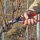 Cекатор Felco + кобура (Felco8+910) Cекатор Felco + кобура (Felco8+910)