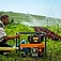 Мотопомпа дизельная Husqvarna W80DE (9708393-01)