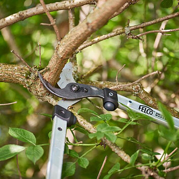 Сучкоріз Felco (Felco 211-60)