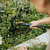 Насадка-сапка садова подвійна Fiskars OneClick (1080695)