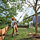 Высоторез аккумуляторный Stihl HTA 30 Set (LA050116418)