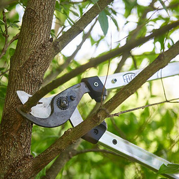 Сучкоріз Felco (Felco 211-60)