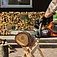 Аккумуляторная цепная пила Husqvarna 242i KIT (9708384-03) Аккумуляторная цепная пила Husqvarna 242i KIT (9708384-03)