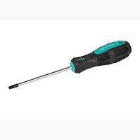 Отвертка Torx MASTERTOOL TТ25 x 100 мм (49-0251)