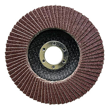 Круг пелюстковий шліфувальний NOVOABRASIVE Profi 115мм х Р100 (NAPFD11522100)