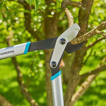 Сучкоріз Gardena EnergyCut basic (12021-20.000.00)
