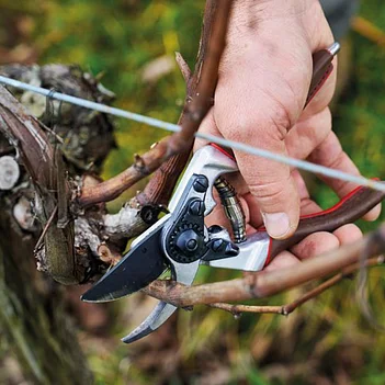 Секатор Felco 8 ELITE (Felco8E)