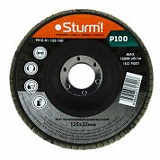 Круг лепестковый шлифовальный Sturm 125xP100 (9010-01-125-100)