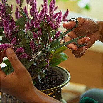 Ножницы для комнатных растений Fiskars Plant Care (1075315)