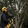 Высоторез аккумуляторный DeWalt XR FLEXVOLT (DCMPS635N) - без аккумулятора и зарядного устройства Высоторез аккумуляторный DeWalt XR FLEXVOLT (DCMPS635N) - без аккумулятора и зарядного устройства