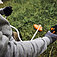 Коса акумуляторна Stihl FSA 140 (FA012000048) - без акумулятора і зарядного пристрою