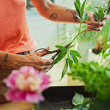 Ножницы для комнатных растений Fiskars Plant Care (1075316)