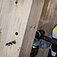 Сверло по дереву Bosch PRO Wood HSS 10,0x160 мм 1 шт. (2608585697) Сверло по дереву Bosch PRO Wood HSS 10,0x160 мм 1 шт. (2608585697)