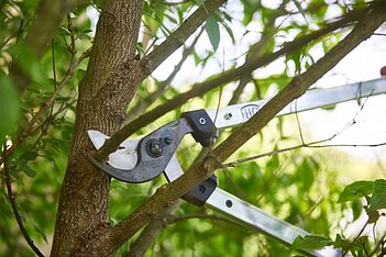 Сучкоріз Felco (Felco 211-60)