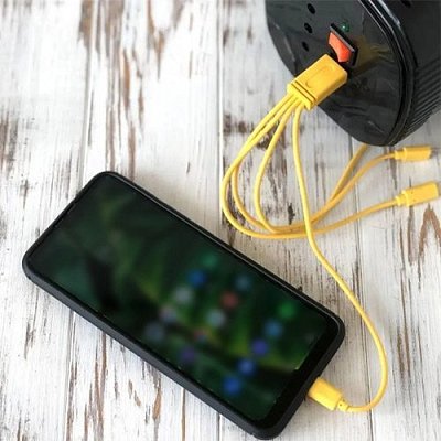 Ліхтар акумуляторний Gold Silver USB/FM/PowerBank 6,0В (GS-540)