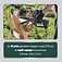 Аккумуляторная цепная пила Metabo MS 18 LTX 15 Set с телескопической ручкой (691229000) - без аккумулятора и зарядного устройства Аккумуляторная цепная пила Metabo MS 18 LTX 15 Set с телескопической ручкой (691229000) - без аккумулятора и зарядного устройства