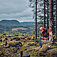 Бензопила Husqvarna 540XP III (9707931-14)