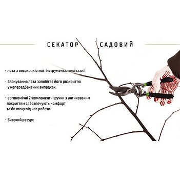 Секатор Alloid Cr-V (PS-22250)