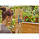 Таймер подачі води для системи поливу Gardena Easy (01896-20.000.00)