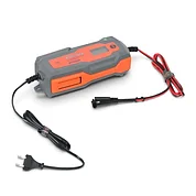 Зарядное устройство Sturmax (BCM1206ID)