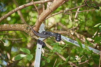Сучкоріз Felco (Felco 211-60)