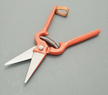 Ножницы для обрезки копыт Due Buoi (164/25V)