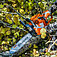 Бензопила Husqvarna 445S (9707019-15)