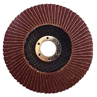 Круг пелюстковий шліфувальний Werk 125 мм х P60 (WE107073)