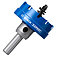 Коронка по металу Bosch Expert Sheet Metal Arbored HS 49 мм (2608902005)