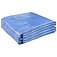 Тент MASTERTOOL 8 х 10 м (79-9810)
