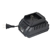 Зарядное устройство Forte СН-2F (142808)