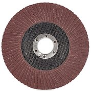 Круг пелюстковий шліфувальний Sturmax 125xP100 (9010M-01-125-100)