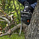 Аккумуляторная цепная пила пила Husqvarna Aspire C15X-P4A KIT (9707896-04) Аккумуляторная цепная пила пила Husqvarna Aspire C15X-P4A KIT (9707896-04)