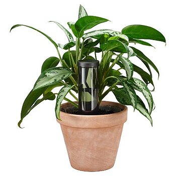 Устройство для полива комнатных растений Fiskars Plant Care (1075380)