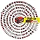 Гайковерт ударный аккумуляторный Einhell Professional TP-CW 18/260-C Li BL - Solo (4510095) - без аккумулятора и зарядного устройства