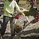 Акумуляторна ланцюгова пила Milwaukee M18 F2CHS50-802 (4933480121)