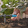 Мікронасадка кінцева Gardena Micro-Drip-System 10 шт. (13305-20.000.00) Мікронасадка кінцева Gardena Micro-Drip-System 10 шт. (13305-20.000.00)