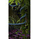 Шланг текстильний Gardena Liano Xtreme 3/4" 30 м (18484-20.000.00)