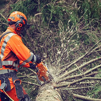 Бензопила Husqvarna 564XP (9707114-18)