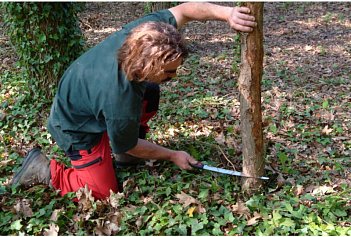 Ножівка по дереву садова Silky Gomtaro 270-8 (102-27)
