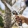Полотно ножовочное по дереву Fiskars Plus SW69 210 мм (1067555)